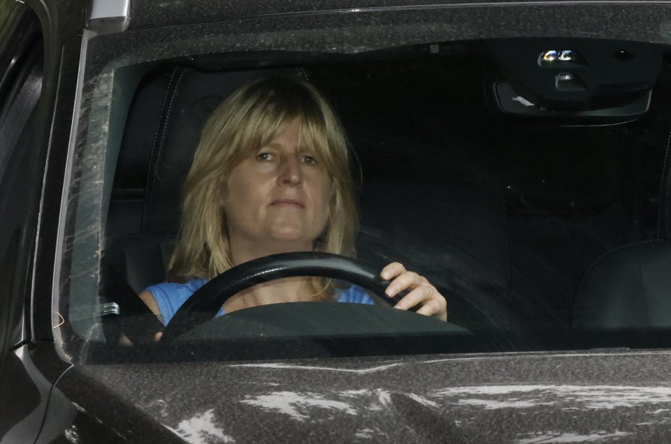 Friends and family of Boris and Carrie Johnson - including the PM's sister Rachel - have been spotted arriving at a swanky country manor to celebrate the couple's wedding