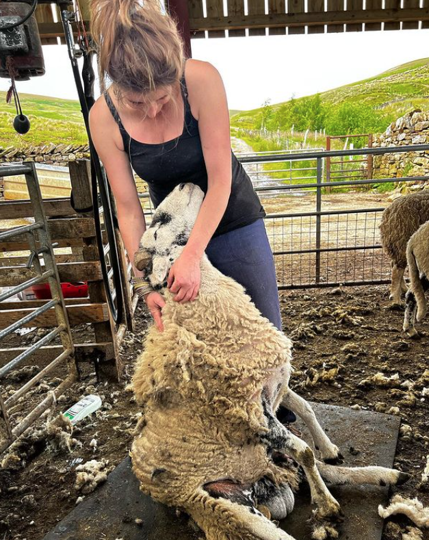 Amanda Owen sheared her sheep on the Yorkshire farm