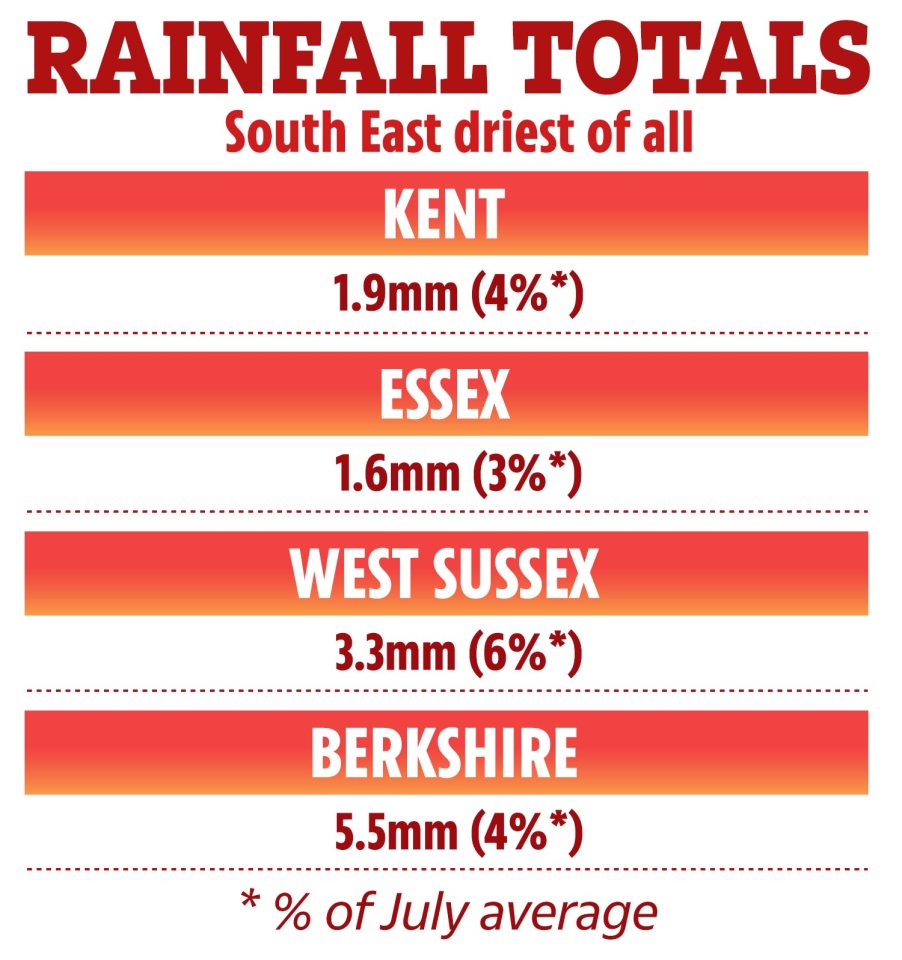 So far this summer, the UK has had just 55mm of rain — less than half the average expected