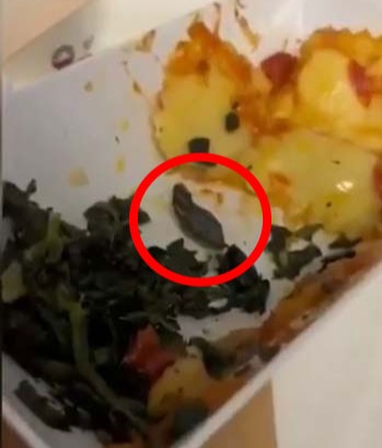 Cabin crew previously claimed they found beetles and snails in their meals