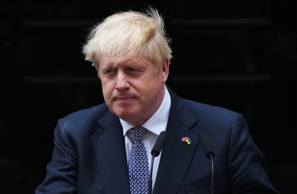 He addressed the nation from Downing Street with his supporters around him