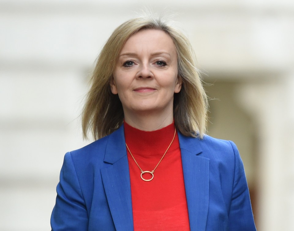 Liz Truss vowed to stop union barons 'holding the UK to ransom'