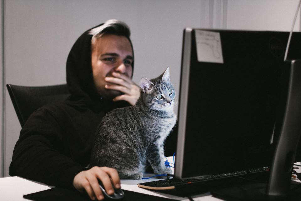 A grey tabby cat watches its owner play Stray