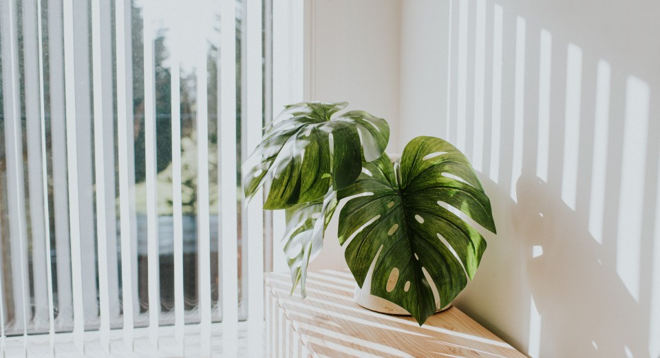 Vertical blinds look stylish but must be cleaned properly