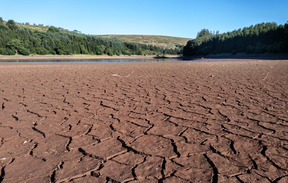 Dried and cracked mud is exposed as an ongoing heat wave causes low water levels at Pontsticill Reservoir