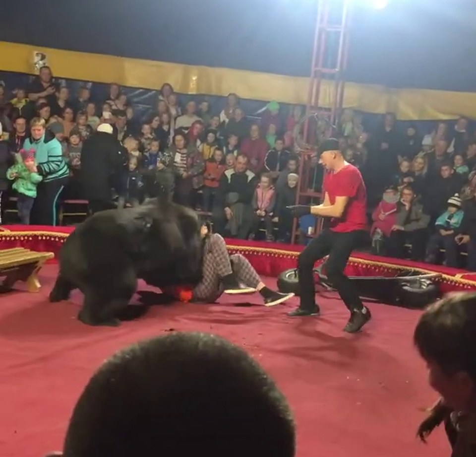 Kids sitting just feet away scream as the bear mauled its trainer