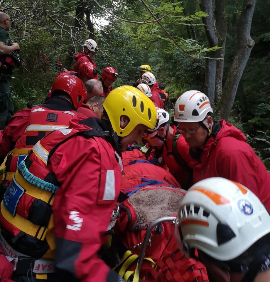 Tom Wykes said: 'Martin fell on Tuesday morning, on July 27 and we didn’t find him until Wednesday evening'