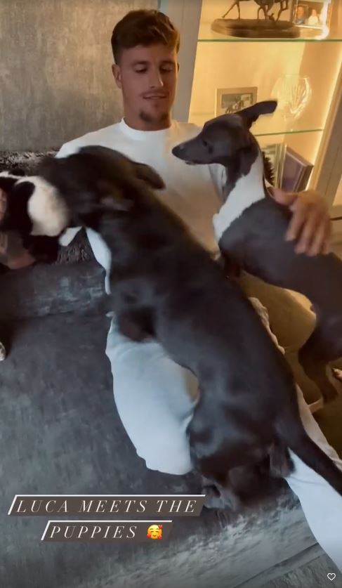 Luca was seen meeting the family dogs for the first time