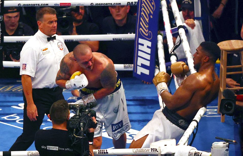 Usyk turned over Joshua in their Tottenham tussle last September