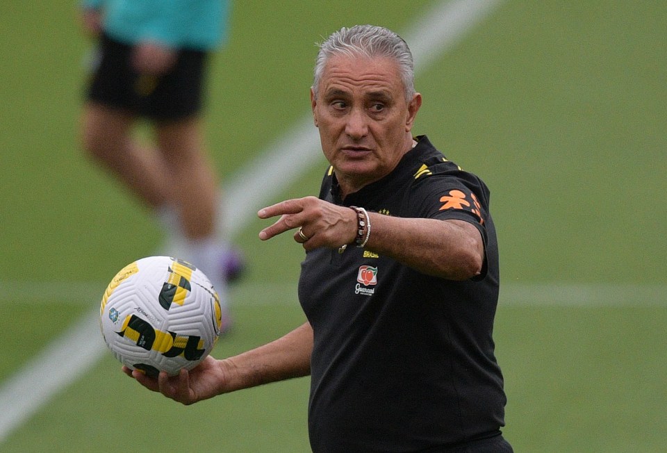 Brazil boss Tite is worried about injuries or suspensions and would rather friendleis in Europe