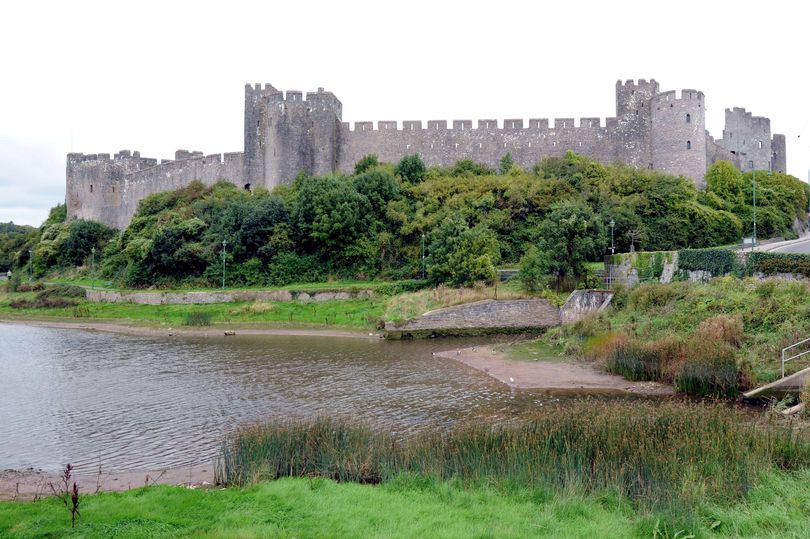 Lily was found dumped in a pond at Pembroke Castle