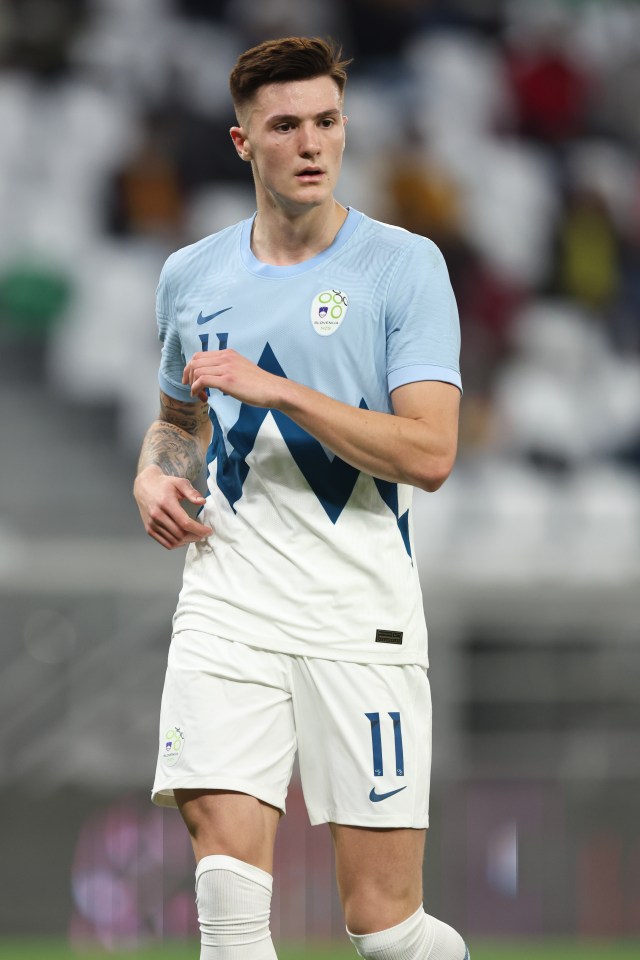 Sesko is Slovenia's youngest ever goalscorer at the age of just 18 years, four months and eight days