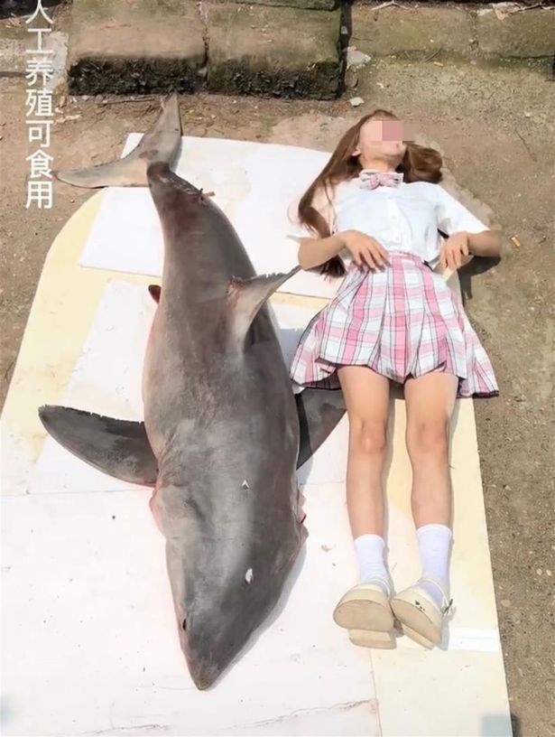 The young woman filmed herself cooking and eating a protected great white shark