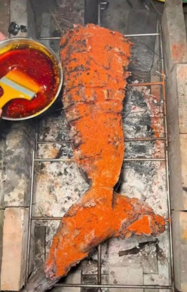 The shark tail was seasoned and barbecued in the since-deleted video