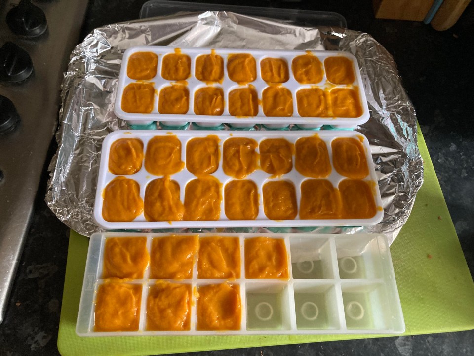 Sweet potato puree ready to freeze