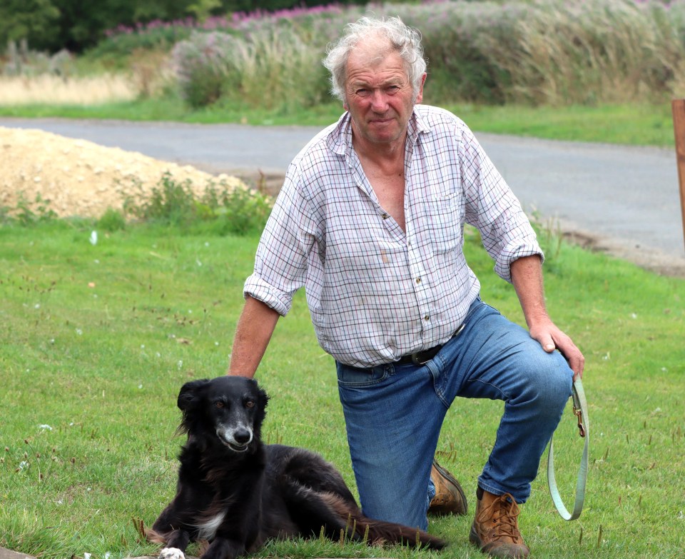 Campsite boss Martin Ford is looking after Suki while owner Martin recovers in hospital