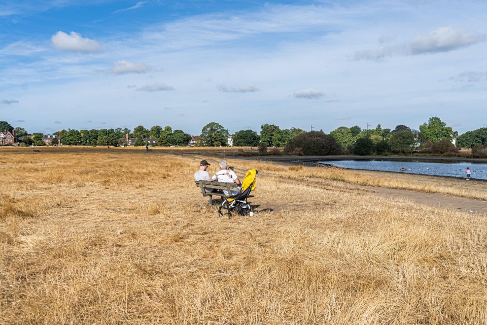 Britain has baked in a record-breaking summer, with millions under or facing hosepipe bans