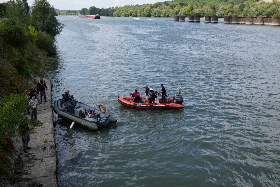 Rescue crews are trying to help the mammal