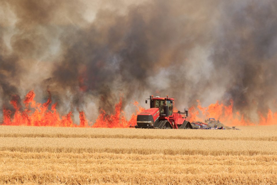 Firefighters and farmers tackled a massive field fire in a crop of standing wheat close to the village of Ridlington, Rutland on Sunday