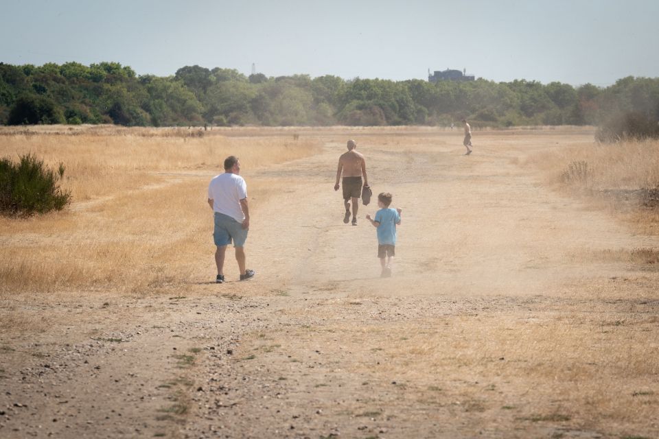 Southern England suffered its driest July since records began in 1836