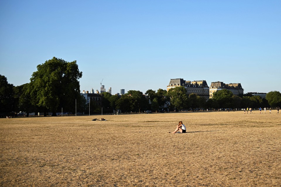 Clapham Common is just one of the grassy areas thats been scorched in the sun