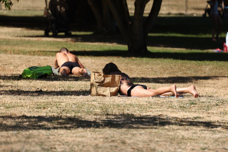 Sunbathers lie on parched fields in the mid day heat at Hyde Park, central London, on Wednesday