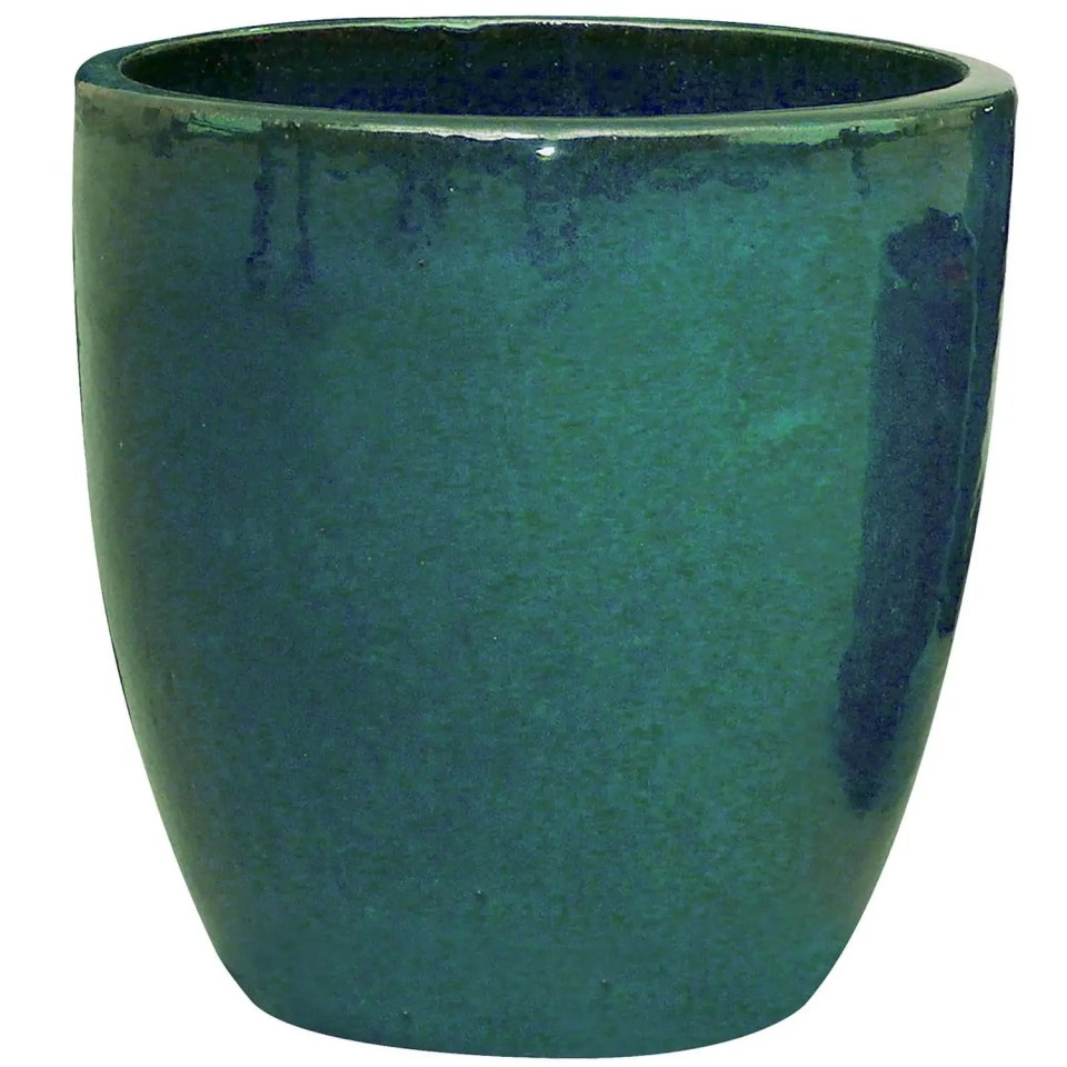 Save £10 on plant pots at Homebase