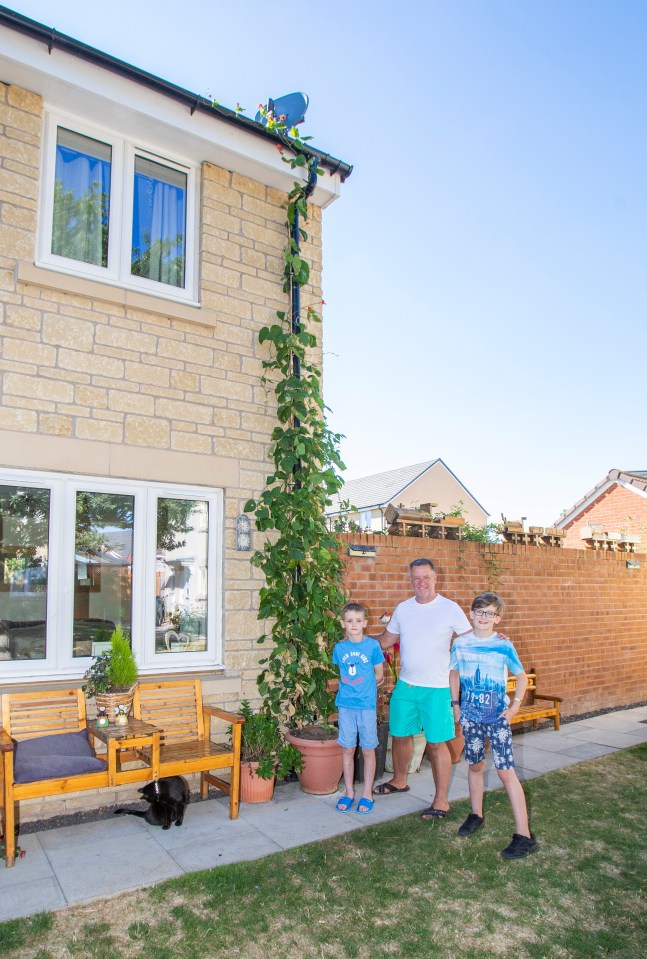 Dad Stewart and sons Joshua and Dominic planted their magic bean back in May