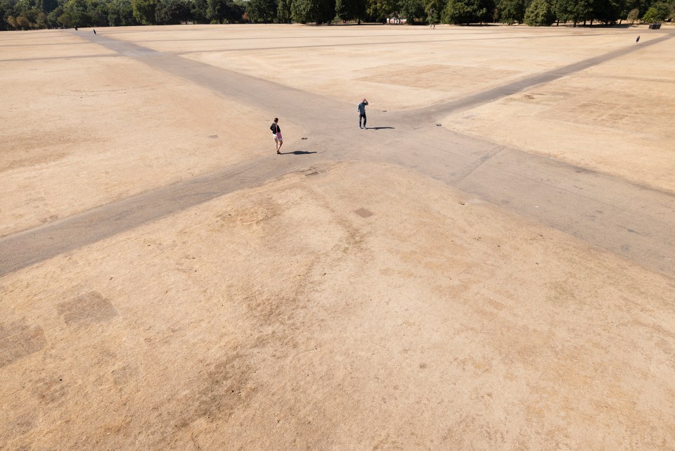 Walkers at Hyde Park wander on earth parched brown by the ongoing drought