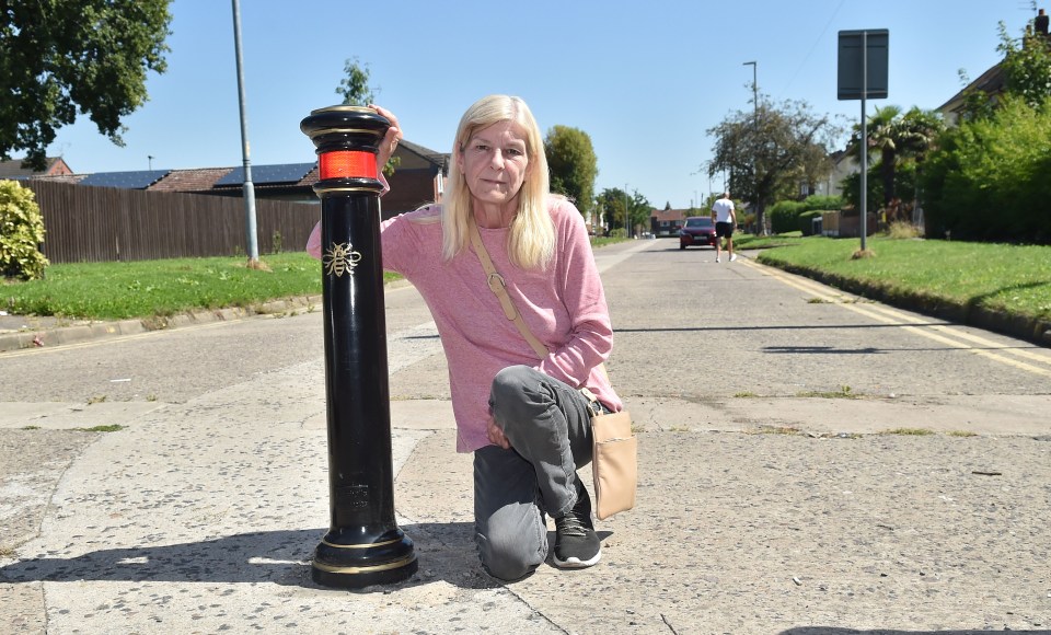 Anita King, 61, next to bollards installed to stop people dumping their cars and going to the airport