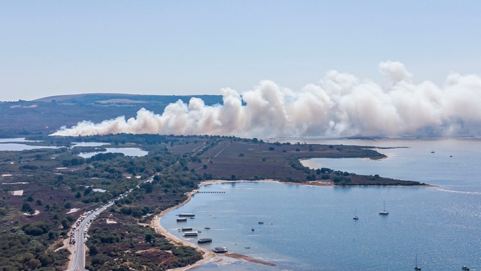 The fire broke out at Studland Heath just after 1pm today