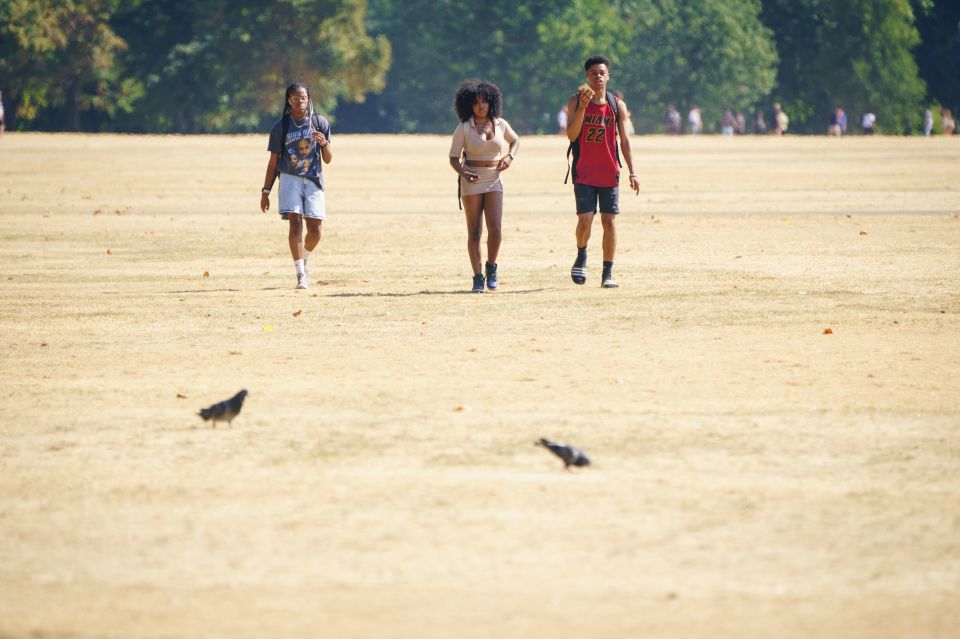 Pals enjoy the sun as they walk across the parched grass in London's Hyde Park