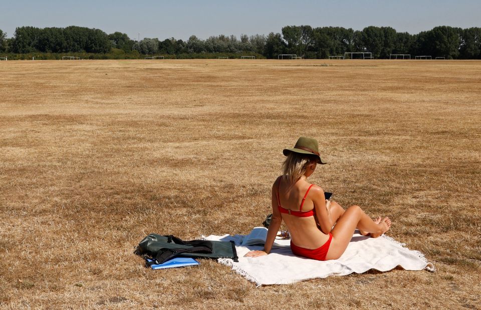 The government on Friday officially declared a drought across swathes of England, following months of record low rainfall and soaring temperatures