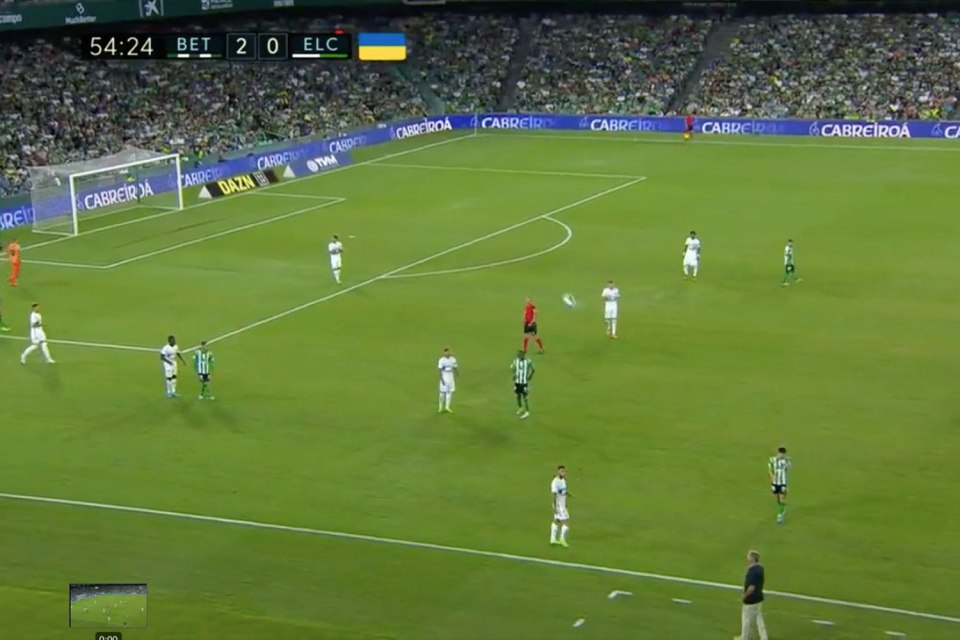 Real Betis manager Manuel Pellegrini went viral during the match with Elche