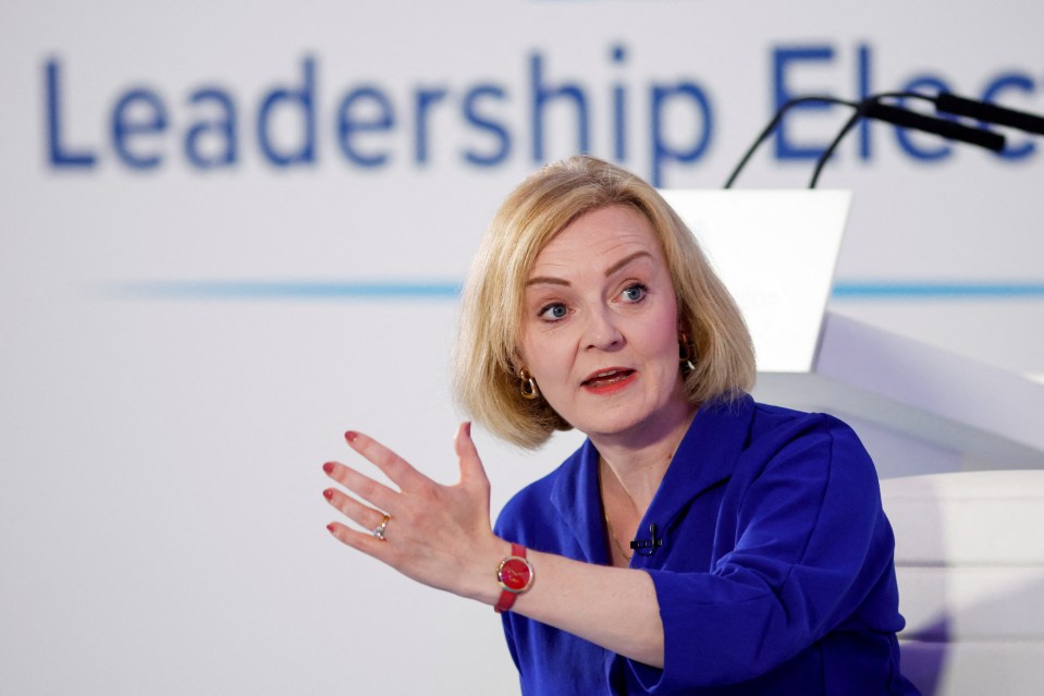 Millions were yesterday warned they face crippling £3,549 energy bills — as PM frontrunner Liz Truss came up with a plan to save them just £11