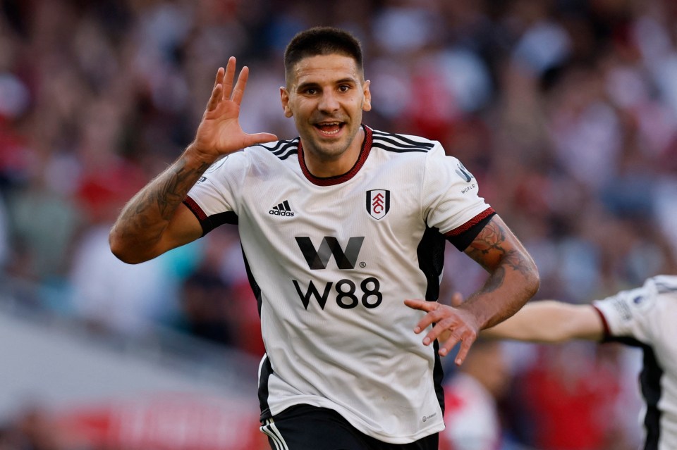 Mitrovic wheeled away in delight after scoring his 100th goal for the Cottagers