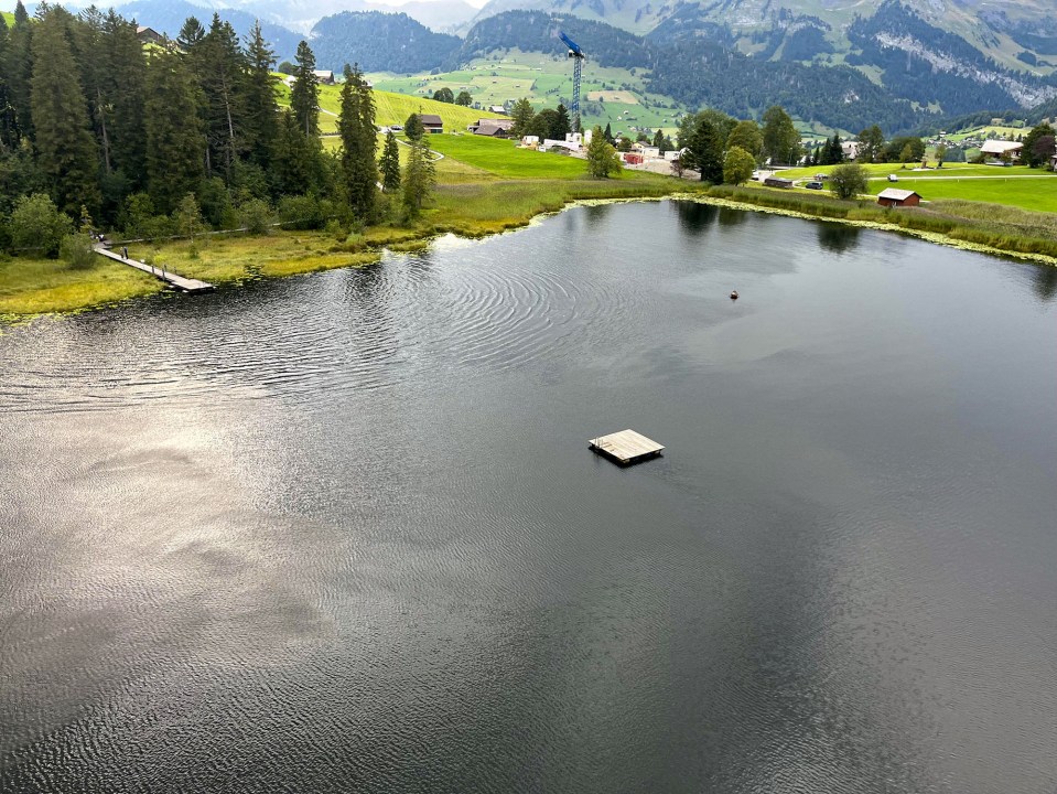 The Brit tragically died while swimming in the Swiss lake