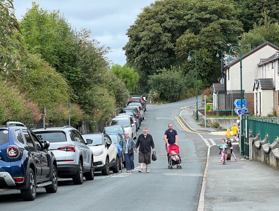 Rows of cars park outside houses in the town