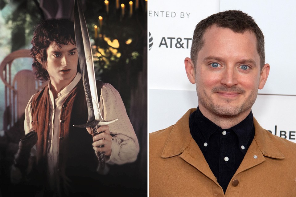 Lord of the Rings made Elijah Wood a household name