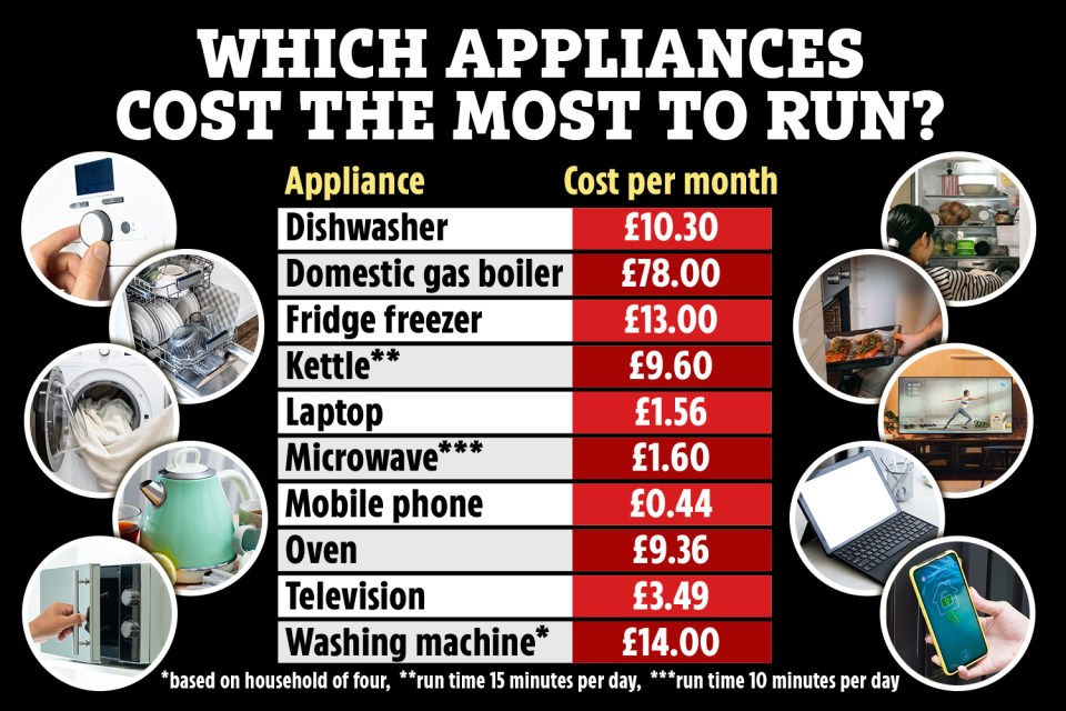 You could make savings throughout your home if you knew how much your appliances cost to run