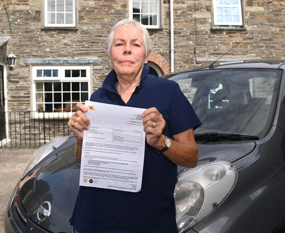 Linden Mair, 81, was slapped with a £100 parking fine for stopping for less than TWO MINUTES