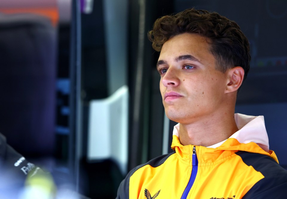 Lando Norris responded to Daniel Ricciardo’s axing