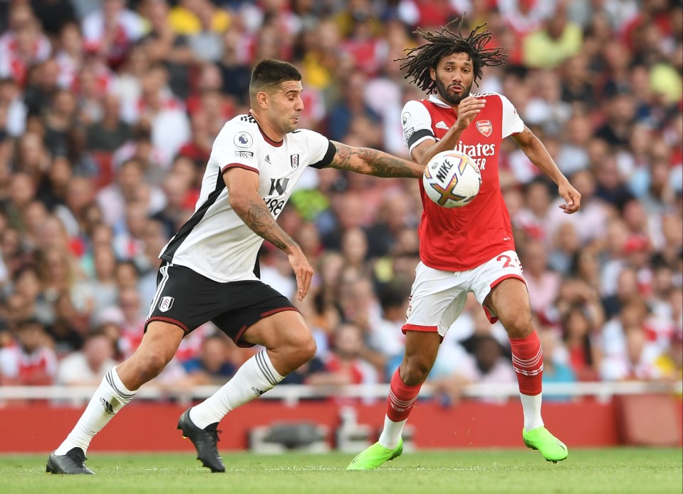 Mohamed Elneny suffered an injury in Arsenal's win over Fulham