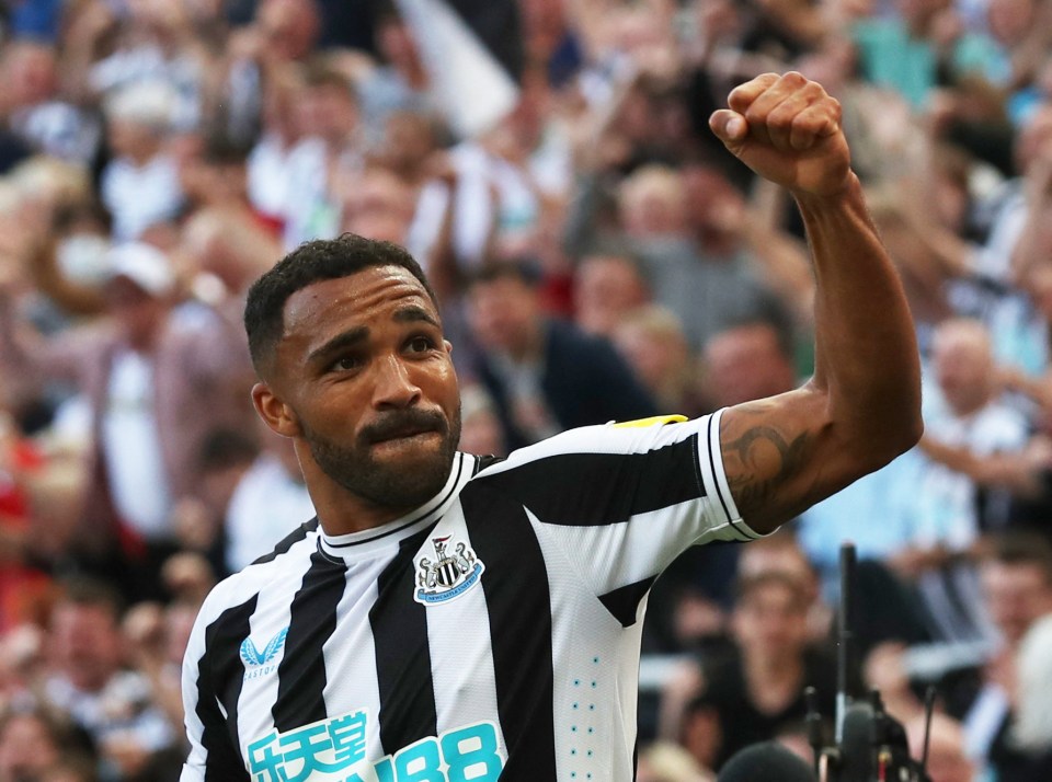 Callum Wilson produced a brilliant finish to give Newcastle a half-time lead