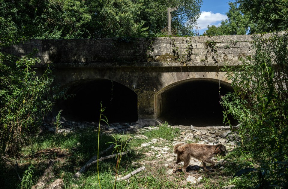 The dry river bed of the Infant River Thames near Cirencester in Gloucestershire