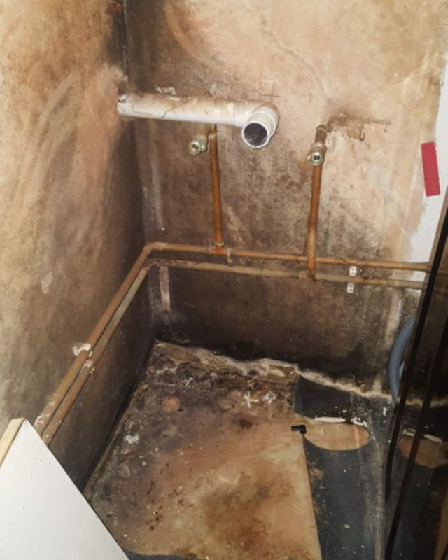 The home was so damp it wasn't even considered "viable" on the ground floor