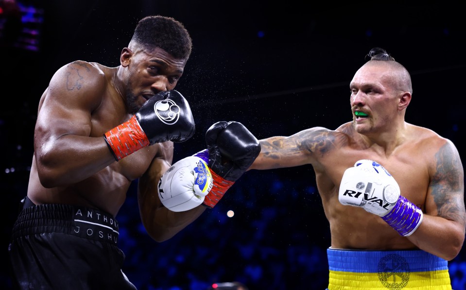 Oleksandr Usyk defeated Anthony Joshua in their rematch earlier this month