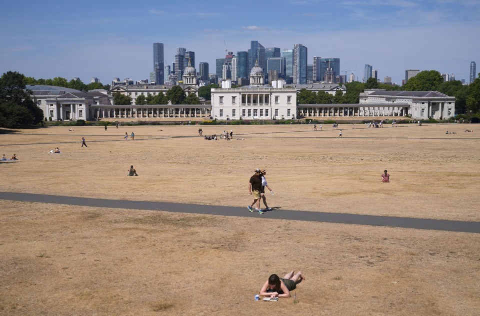 Greenwich Park in London is crisp from the hot weather