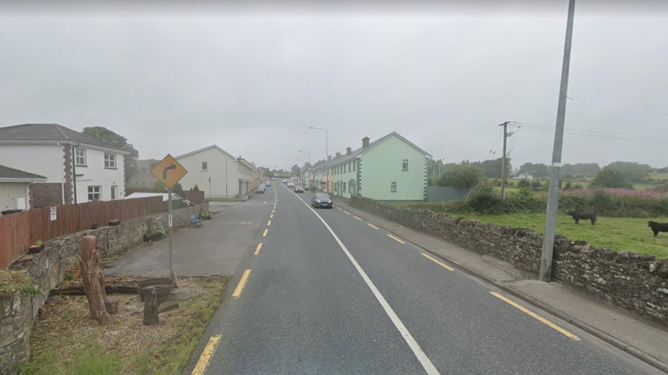 The tragedy took place near the village of Ballinagare in Ireland's County Roscommon