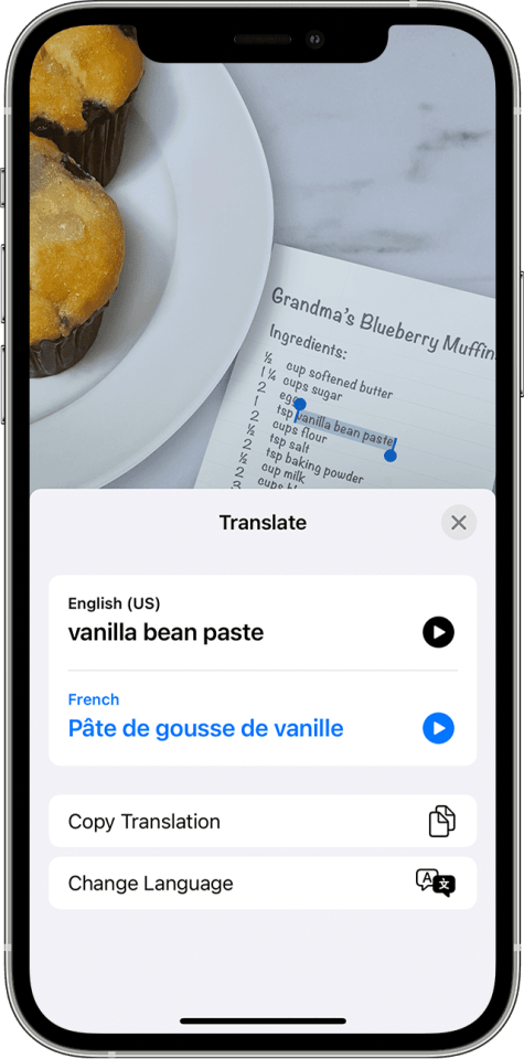 Your iPhone has several ways to translate text